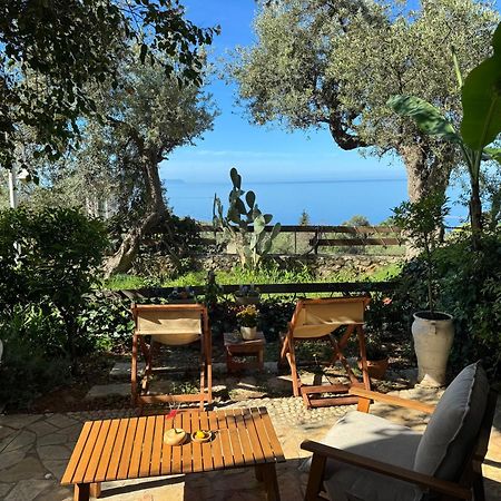 Olives Terrace B2A5 Apartment Dhërmi 外观 照片